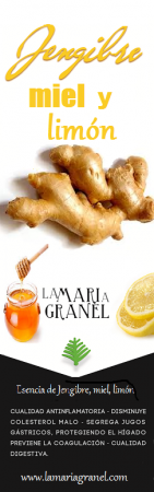 /products/jengibre-con-miel-y-limon/