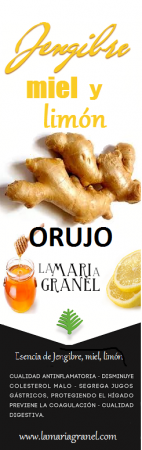 /products/bebida-de-jengibre-con-pina-y-orujo/